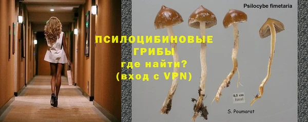 PSILOCYBIN Приозерск