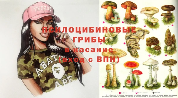 мяу мяу мука Протвино