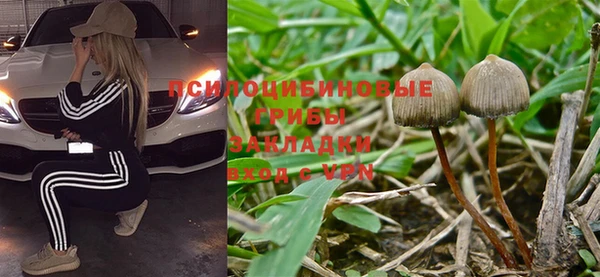 PSILOCYBIN Приозерск