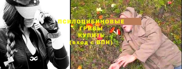 PSILOCYBIN Приозерск