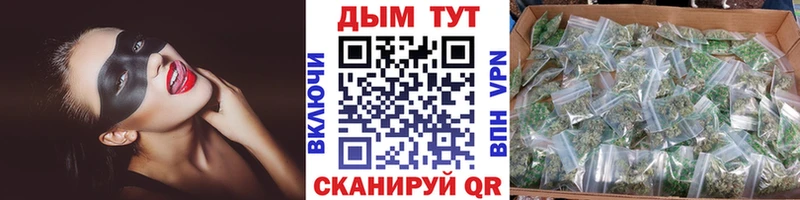 Купить  Киреевск  Конопля индика 